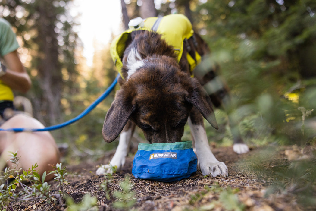 Ultraleichter Hundenapf Trail Runner