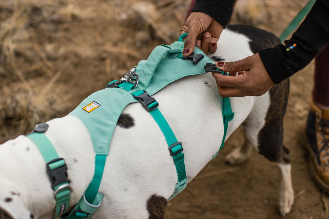 Dog Harness with Handle Flagline™ by RUFFWEAR