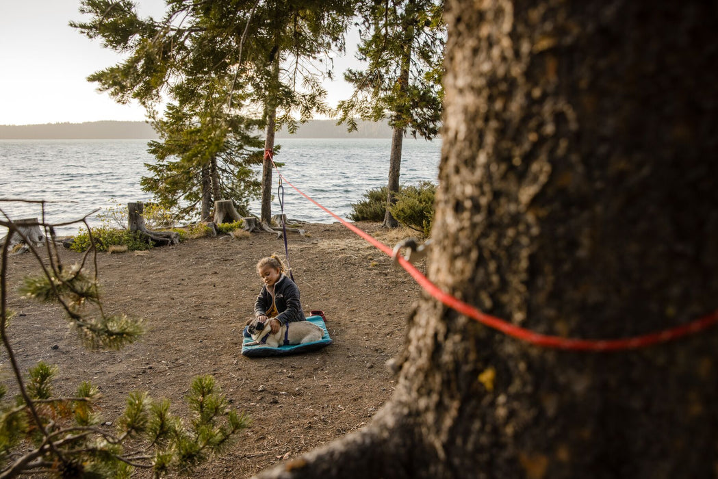 Knot-a-Hitch™ dog tether system from RUFFWEAR