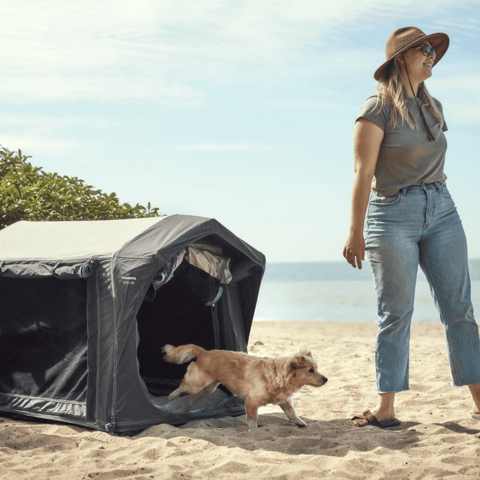 Inflatable Dog Crate