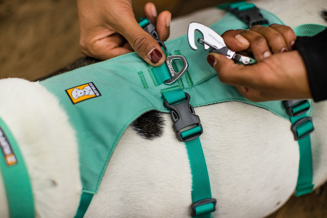 Harnais pour chien avec poignée Flagline™ de RUFFWEAR