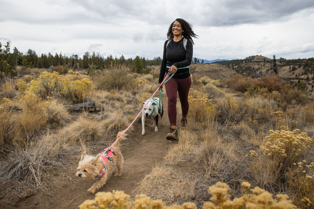 Harnais pour chien avec poignée Flagline™ de RUFFWEAR