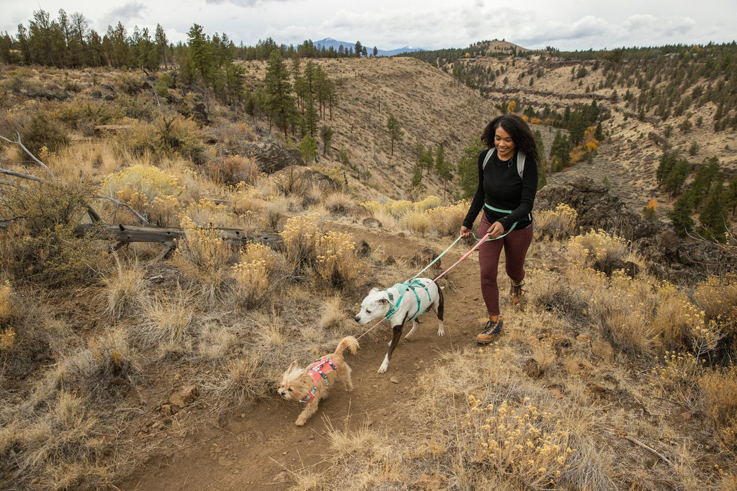 Pettorina per cani con maniglia Flagline™ by RUFFWEAR