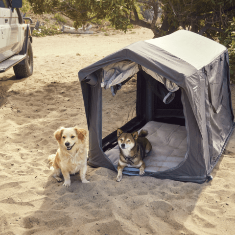 Cassa gonfiabile per cani